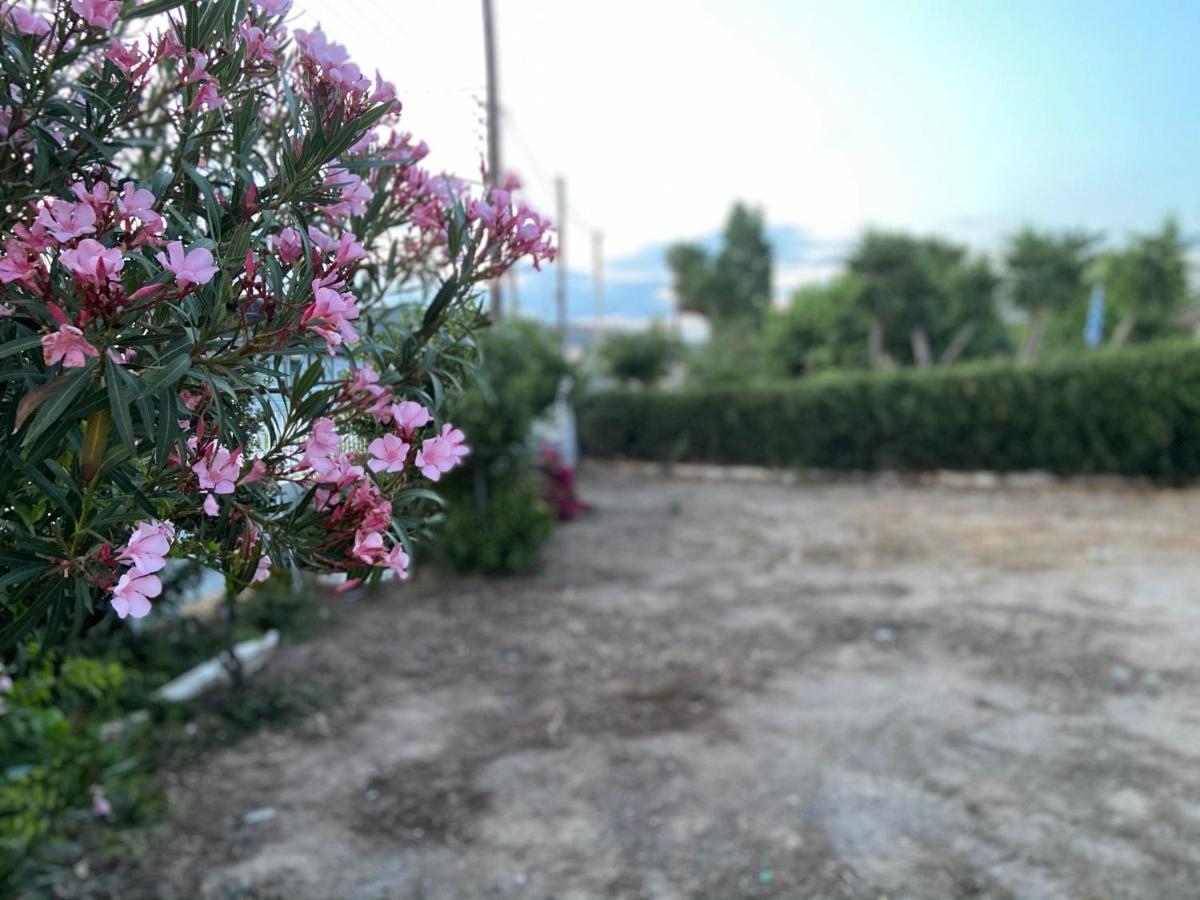 Agia Marina  Athens Riviera: 2 Bed / 3' Walk From The Beach מראה חיצוני תמונה